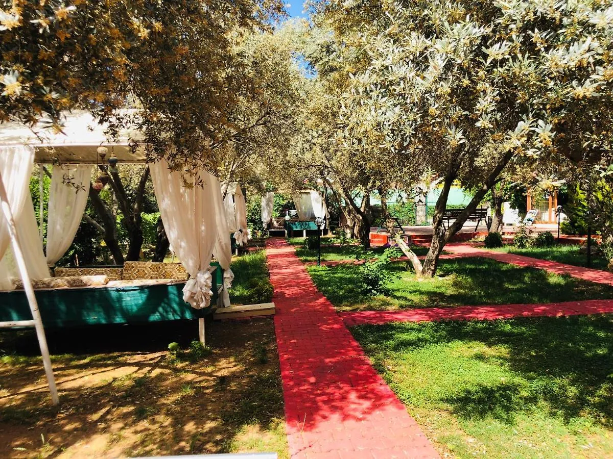 **  פאטהיה Nature Hotel Doga Hotel Oeluedeniz טורקיה